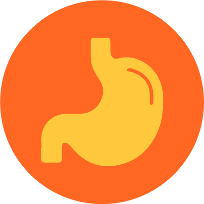 Optimal Body|injury-recovery-tissue-repair-New