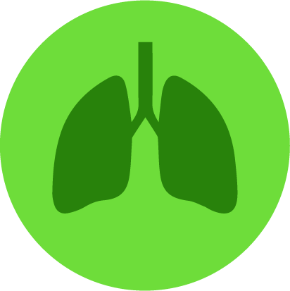 Optimal Body|injury-recovery-tissue-repair-New