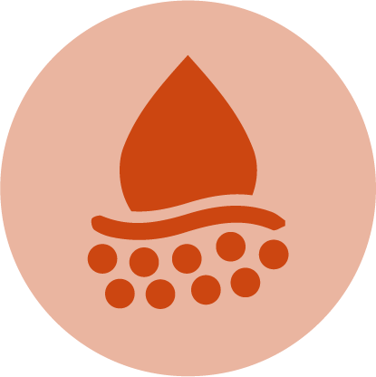 Optimal Body|immune-inflammation-support-New