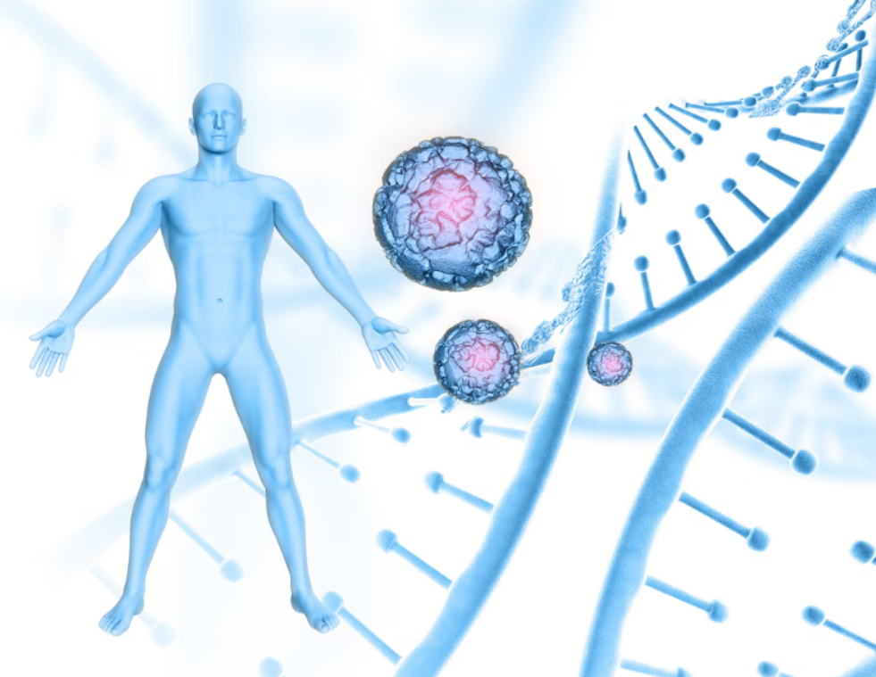 Peptides for Muscle, Fat Loss and Recovery