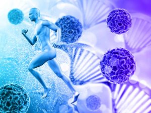 peptides for muscle repair