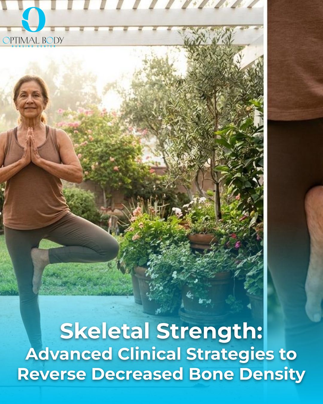 Skeletal Strength: Advanced Clinical Strategies to Reverse Decreased Bone Density
